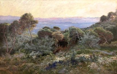 null Henri-Arthur BONNEFOY (1839-1917) Paysage de Provence Huile sur toile Signé...