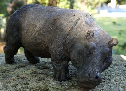 null ROBERT GODEFROY (1928-2001) Hippopotame Terre cuite 17 x 32 cm