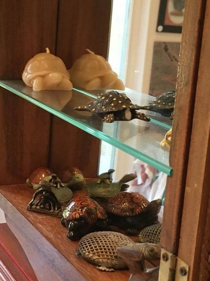 null ENSEMBLE d’objets de vitrine sur le thème tortues, grenouilles et divers. Vendu...