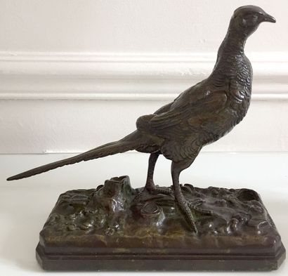 null Henri TRODOUX ( XIXe siècle) Faisan Bronze à patine verte Signé sur la terrasse...