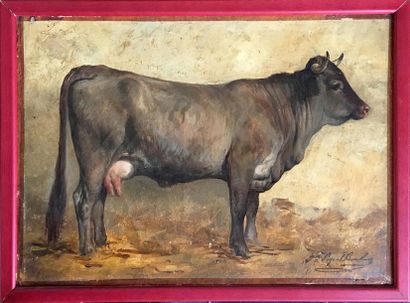 null Juliette PEYROL BONHEUR (1839-1891)
Étude de vache
Huile sur toile signée en...