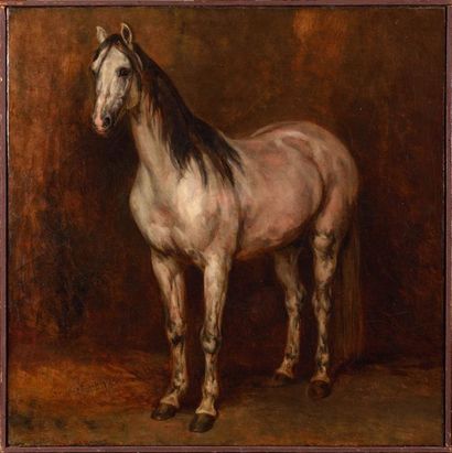 null Antoine Alphonse MONTFORT (1802-1884) Etude de cheval blanc Huile sur toile...