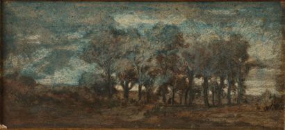 null Theodore ROUSSEAU (1812-1867), attribué à
Groupe d'arbres à Boisrémond près...