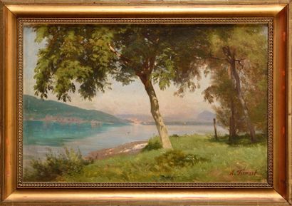 null Antonin FANART (1831-1903) Paysage au Lac Huile sur carton Signé en bas à droite...