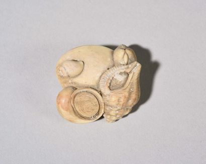 null JAPON : Netsuké en ivoire sculpté représentant un amoncellement de cinq coquillages,...