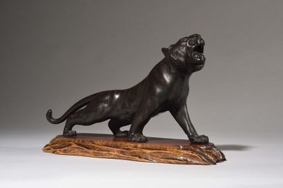 null JAPON : Okimono en bronze sculpté à patine brune représentant un tigre en train...
