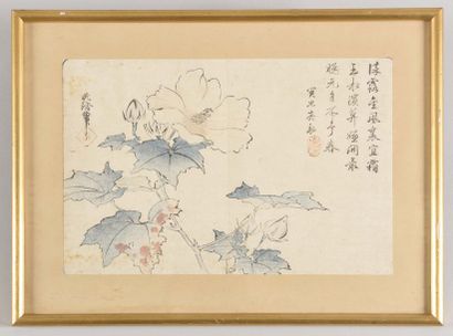 null JAPON, Ecole d’HOKUSAI : Estampe représentant des fleurs d’hibiscus, portant...