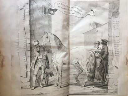 null LA GUÉRINIÈRE École de cavalerie Paris, 1733. In-folio, maroquin noir de l’époque....