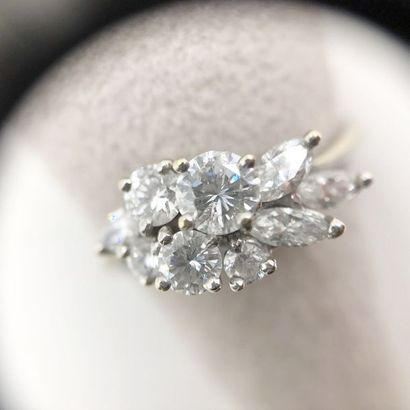 null BAGUE 

en or gris 750 millièmes, le chaton paré de cinq diamants taille brillant...