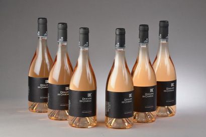 null 6 bouteilles LANGUEDOC "Les Gariguettes", Domaine de Coursac 2017 (rosé) 