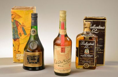 null 3 bouteilles SPIRITUEUX (Scotch Ballantine's 12 y, Armagnac Sempé 3*, Calvados...