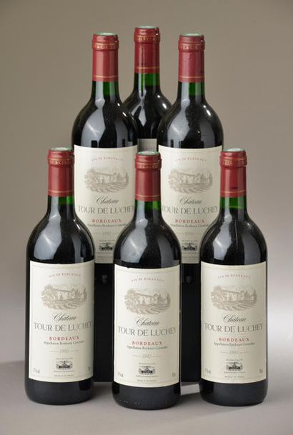 null 6 bouteilles Château TOUR DE LUCHEY, Bordeaux 1990 