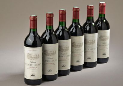 null 6 bouteilles Château TOUR DE LUCHEY, Bordeaux 1990 