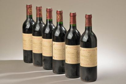 null 6 bouteilles Château BRANAIRE-DUCRU, 4° cru Saint-Julien 1993 (es) 