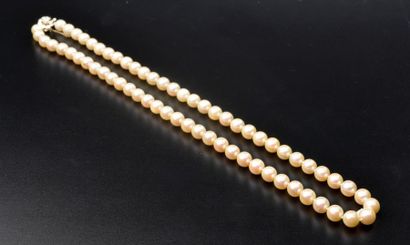 null Collier de soixante-quatre perles de culture, le fermoir en or gris 18k en forme...