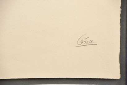 null César BALDACCINI dit CÉSAR (1921-1998).
La Poule.
Lithographie en couleur, signée...