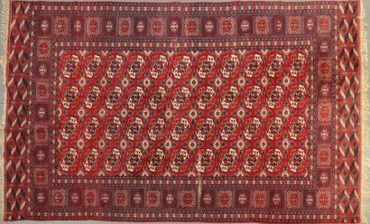 null Grand tapis rectangulaire à motifs de gühls sur fond rouge. 
Boukhara, XXe siècle....