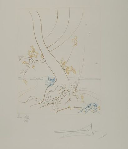 null Salvador DALI (1904-1989).
L'Arbre de la science, planche du Paradis terrestre....