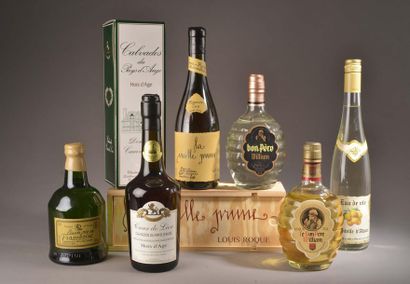null 6 bouteilles EAUX-DE-VIE (Prune L. Roque, Calvados Cœur de Lion, Poire Père...
