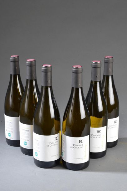null 6 bouteilles CÉVENNES "Chardonnay", Domaine de Coursac 2018 (blanc) 