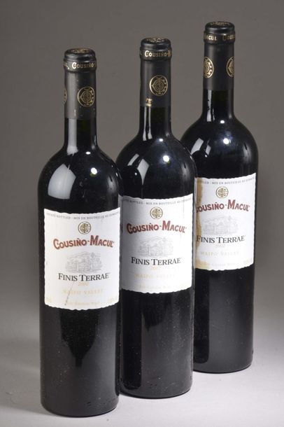 null 3 bouteilles MAIPO VALLEY "Finis Terrae", Cousino-Macul 2002 (fanées, tachées)...