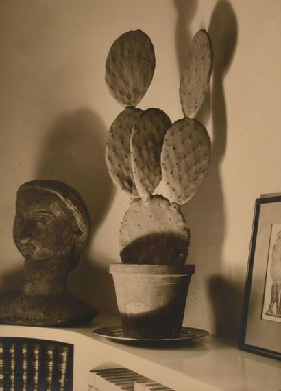 null *Willy Kessels (1898-1974)
Nature morte au cactus, c. 1930. 
Nature morte au...
