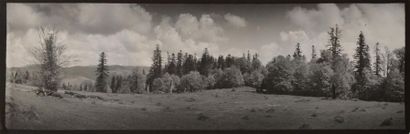 null *Josef Sudek (1896-1976)
Panoramas de la forêt de Mionsi, c. 1955.
Deux (2)...
