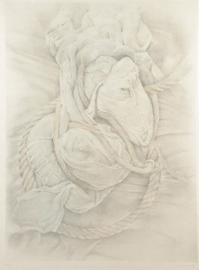 null Cécile MÜHLSTEIN (1936-2007).
Tête endormie et tête de cheval.
Lithographiesignée...