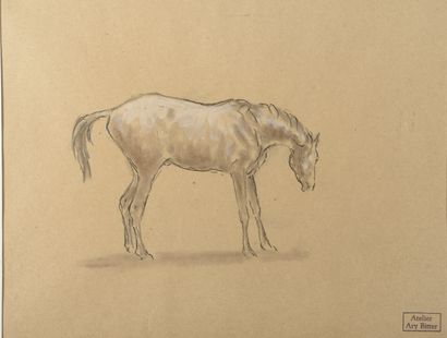 null Ary-Jean-Léon BITTER (1883-1973).

Étude de cheval.

Fusain et rehaut de gouache,...