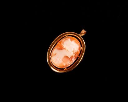 null Shell cameo brooch pendant with a woman's profile, the setting in 18k yellow...