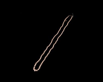 null Necklace of small cultured pearls mounted in fall, the oblong clasp in 18k white...
