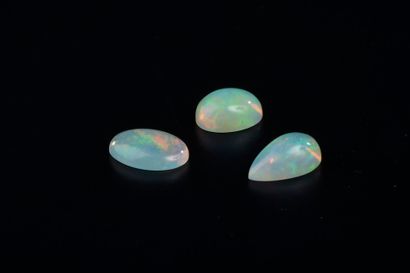 null Trois cabochons d'opale blanche précieuse d'Éthiopie sur papier, l'un piriforme,...
