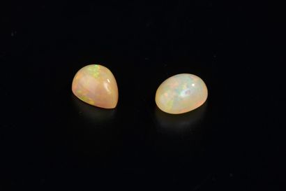 null Deux cabochons en opale blanche précieuse d'Éthiopie sur papier, l'un piriforme,...