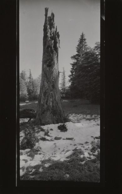 null *Josef Sudek (1896-1976)

La Foret de Mionsi, tronc enneigé, c. 1955-1966. 

Deux...