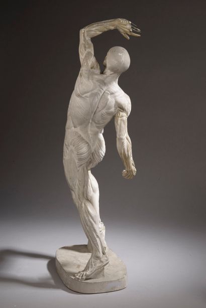 null According to Jacques-Eugène CAUDRON (1818-1865).



Flayed in plaster (missing).



Signed...