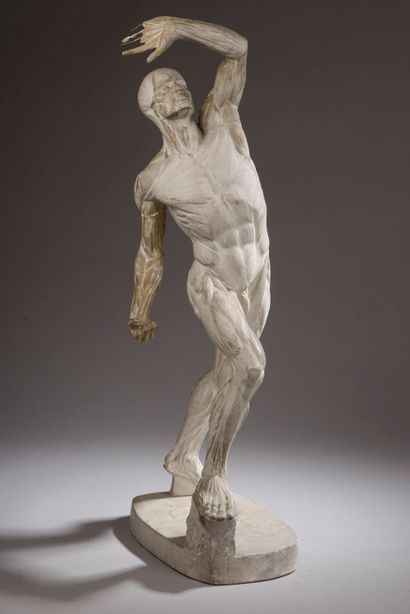 null According to Jacques-Eugène CAUDRON (1818-1865).



Flayed in plaster (missing).



Signed...