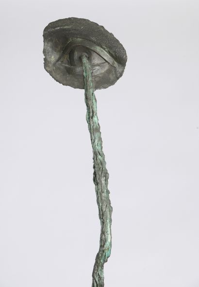 null 
Anne and Patrick POIRIER (born in 1941 and 1942). 

The weeping eye. 

Bronze...