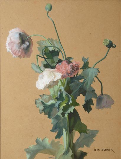 null Jean BENNER (1836-1906). 
Anémones. 
Gouache signée en bas à droite. 
Haut....