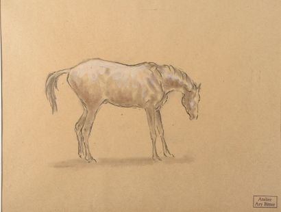 null 
Ary-Jean-Léon BITTER (1883-1973). 

Étude de cheval. 

Fusain et rehaut de...