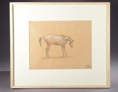 null 
Ary-Jean-Léon BITTER (1883-1973). 

Étude de cheval. 

Fusain et rehaut de...