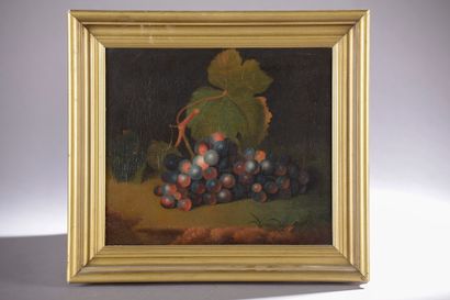 null William JONES of BATH (actif entre 1764 et 1779)).


Grappes de raisin.


Deux...
