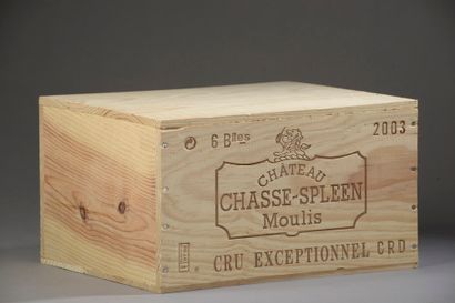 6 bouteilles CH. CHASSE-SPLEEN, Moulis 2003...