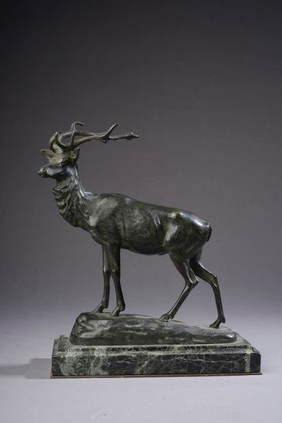 null Georges GARDET (1863-1939).

Stag.

Bronze with green patina signed on the terrace...
