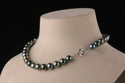null Half set of silver and cultured pearls of Tahiti comprising :

- Necklace of...