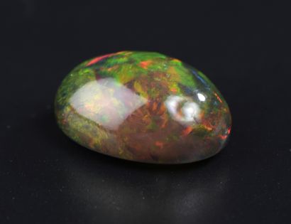 null Precious black opal from Ethiopia in oval cabochon on paper (treatment by smoking).



Weight...