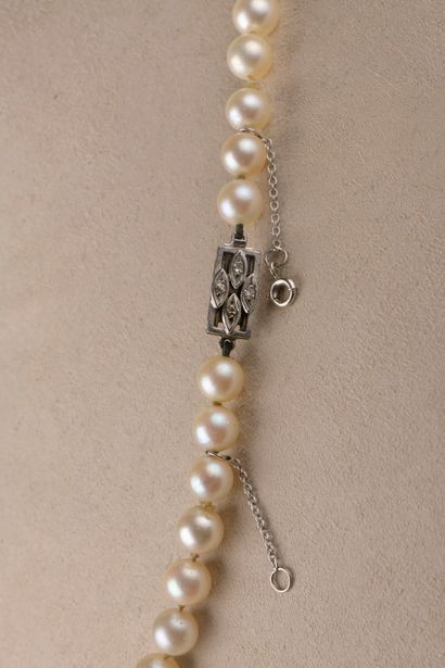 null Necklace of sixty-five cultured pearls in fall. The rectangular clasp in 18k...