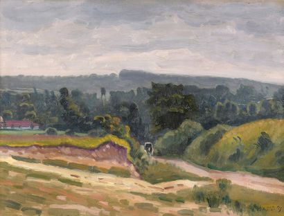 null 
René de SAINT-DELIS (1877-1958).




Country road.




Oil on canvas signed...