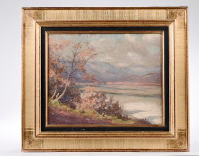 null 
Léon Pierre FELIX (1869-1940).




Landscape of lake and mountains.




Oil...