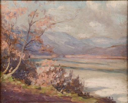 
Léon Pierre FELIX (1869-1940).




Landscape...