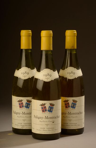 null 3 bouteilles PULIGNY-MONTRACHET Lycée Viticole 1989 (une légèrement évoluée...